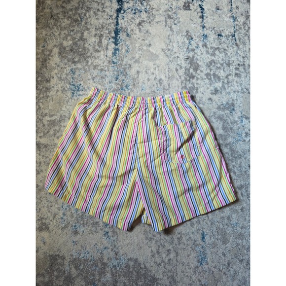 Zara Men's Medium Colorful Striped 4" inseam Bathing Suit Swimwear Resort Wear - Picture 3 of 4